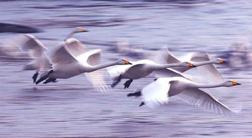 1531579283438777.jpg 说明: http://d.hiphotos.baidu.com/exp/w=500/sign=df41844f3a292df597c3ac158c305ce2/7e3e6709c93d70cf7068eb6df8dcd100baa12b3b.jpg