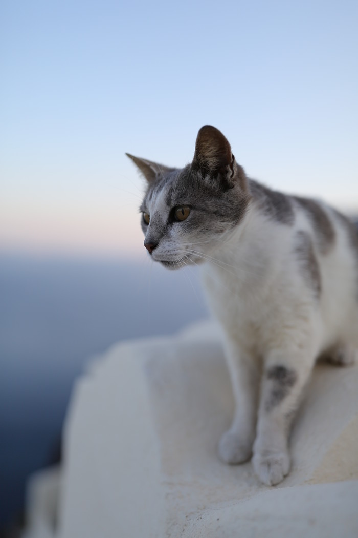 1531580046859325.jpg 说明: https://cms.qn.img-space.com/g2/M00/03/81/Cg-4k1ZO0F-IaB1dABcDI5zfmDEAAFehgCcLSgAFwM7506.jpg?imageView2/2/w/700/h/2000/q/90/ignore-error/1/