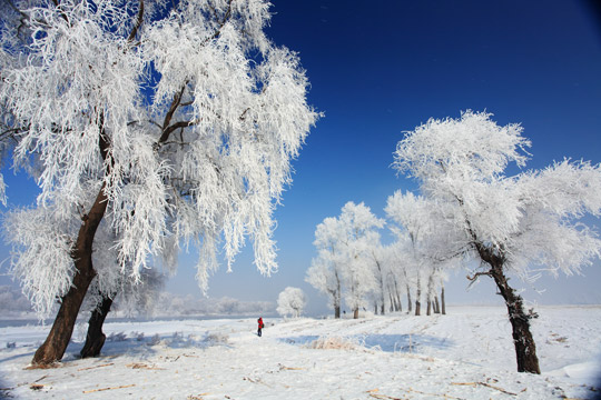 1531580460491291.jpg 说明: http://i3.sinaimg.cn/travel/2010/0612/2010612102111.jpg