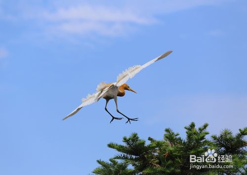 说明: 快门、光圈和感光度如何协调使用